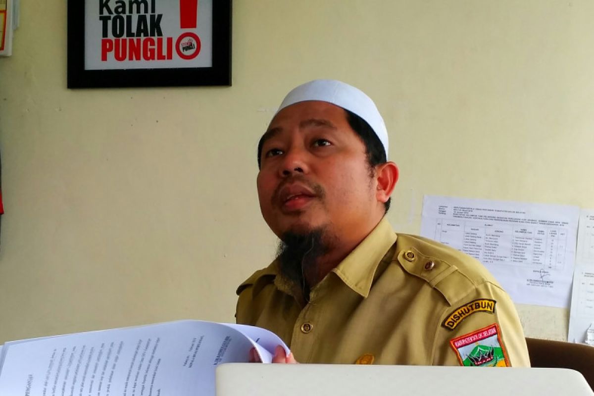 BPDP-KS bantu peremajaan sawit di Solok Selatan