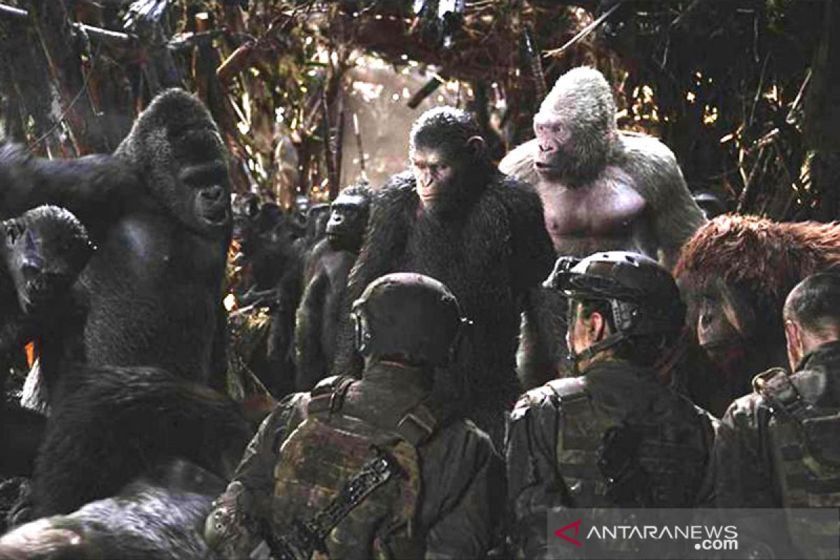 Sekuel 'Planet of the Apes' akan digarap oleh sutradara 'Maze Runner'