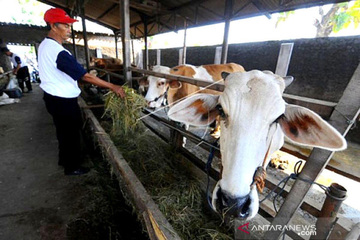 Agro Techno Park binaan BATAN didorong hasilkan pengusaha pemula