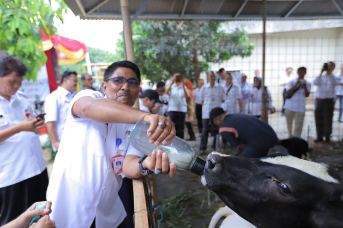 Jaktim libatkan peternak sapi jadi rintisan Ekowisata Cipayung