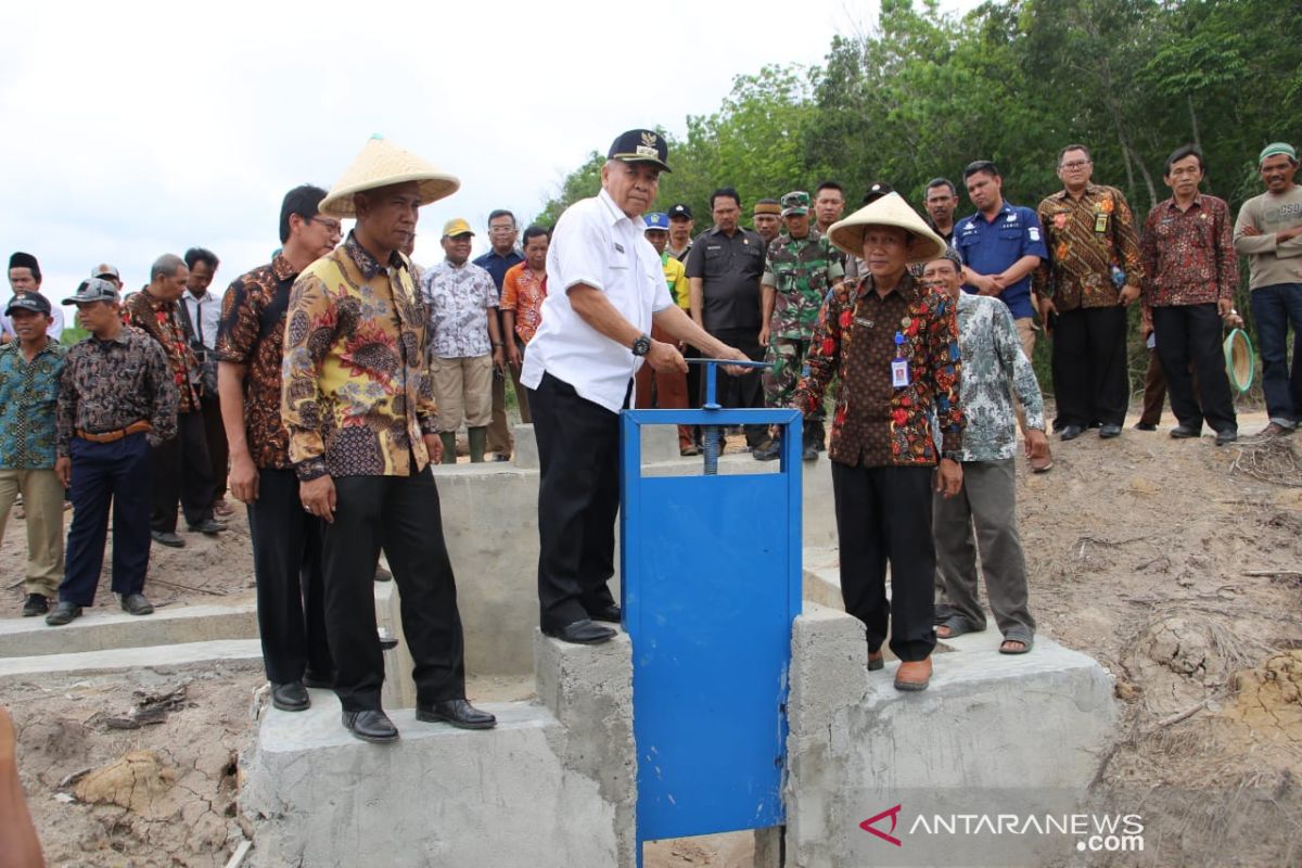 Dinas Pertanian OKU  manfaatkan rawa menjadi lahan pertanian