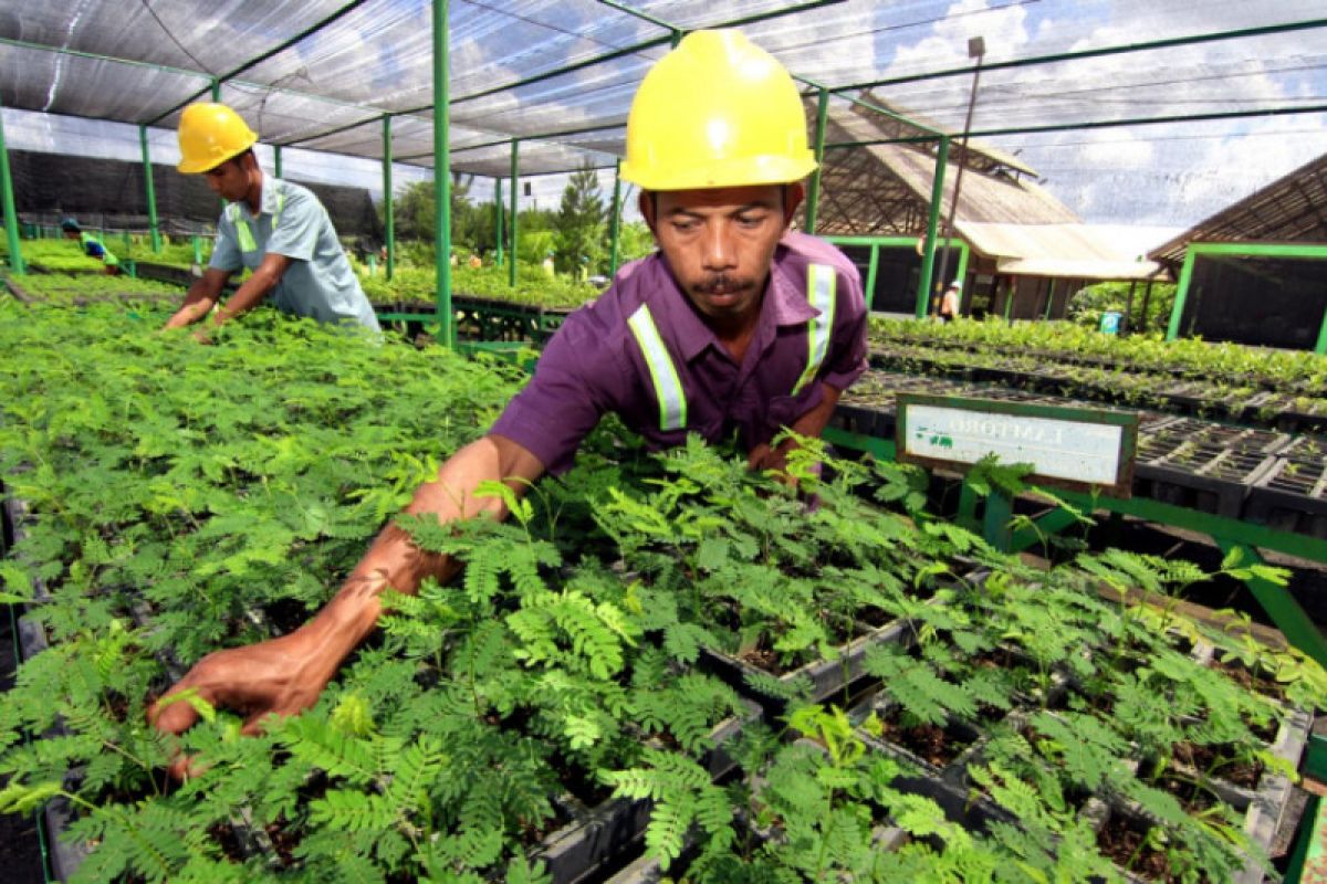 Kumpulkan Benih, Selamatkan Hutan