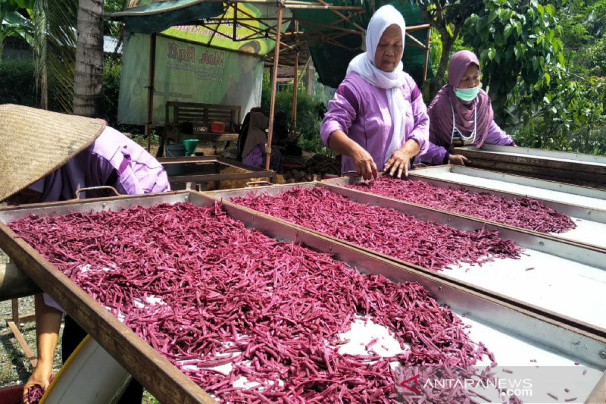 Wanita tani Kulon Progo produksi makanan ringan berbahan umbi