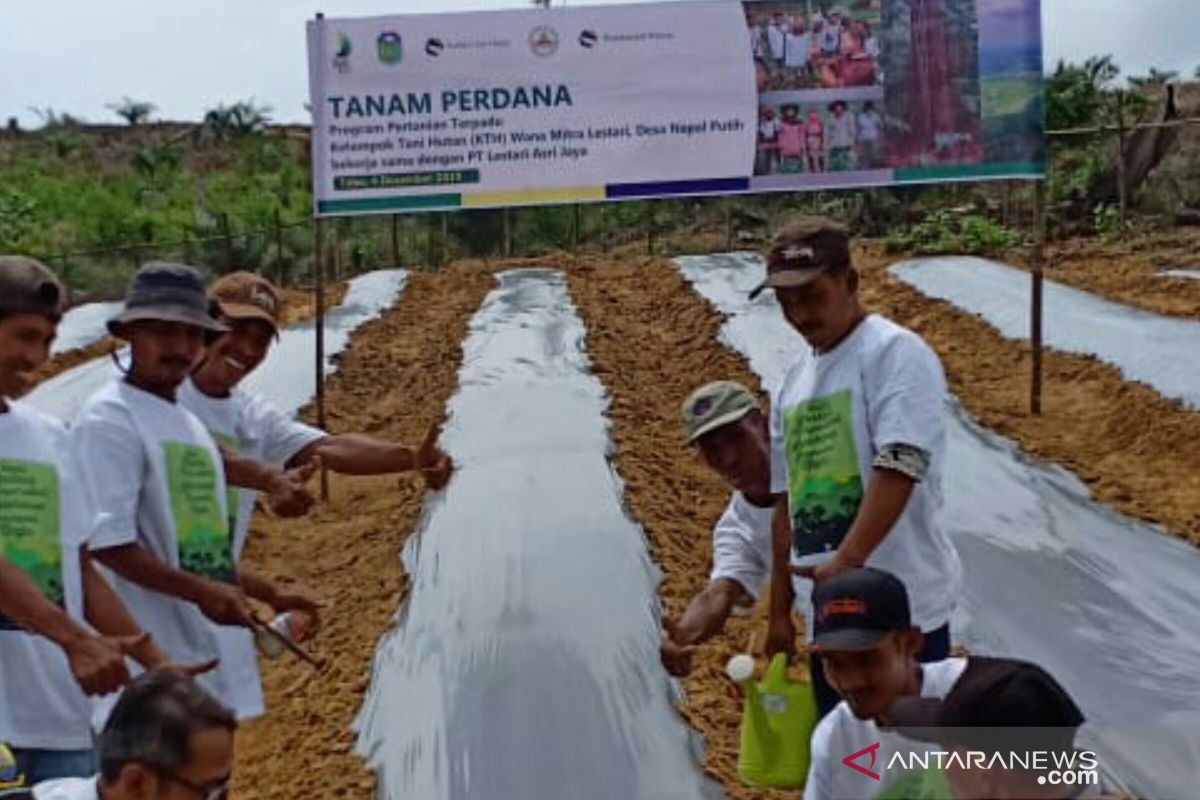 LAJ selenggarakan pelatihan budidaya sayuran di Tebo Jambi