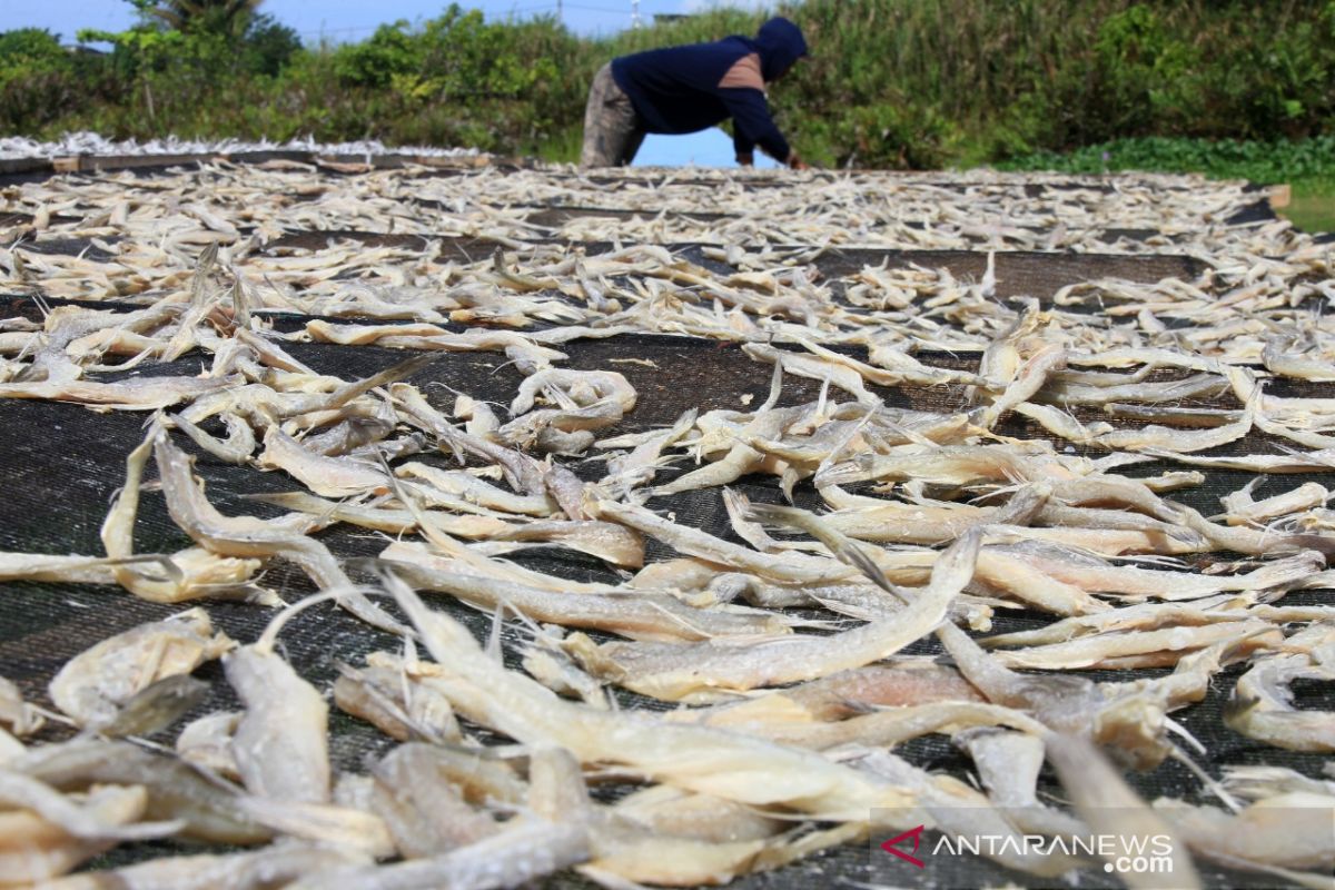 Produksi ikan asin meningkat