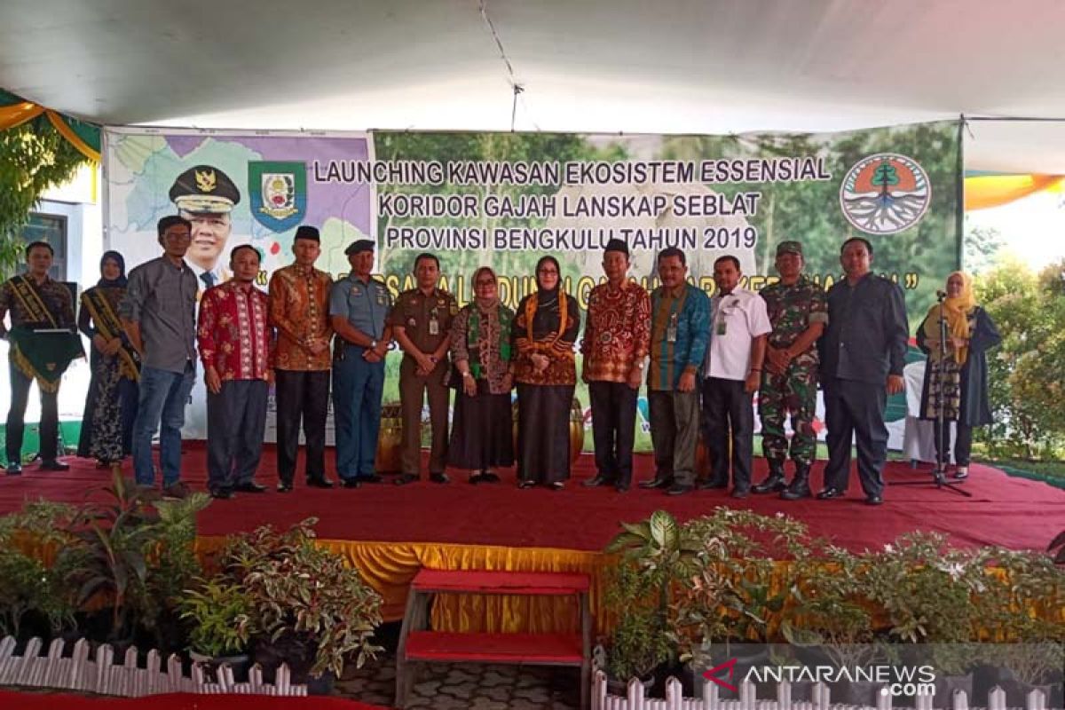 Bengkulu luncurkan KEE koridor gajah Sumatera