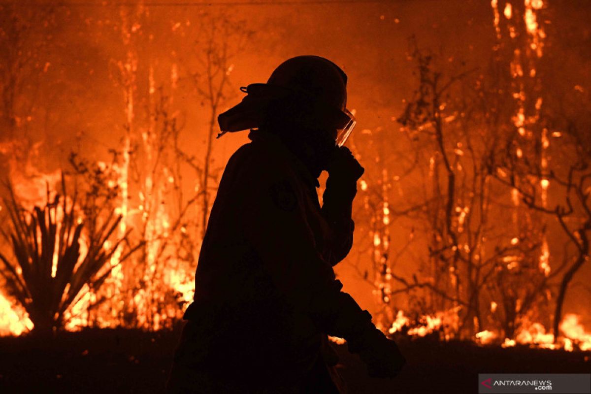 Australia beri penghormatan terakhir kepada pemadam kebakaran