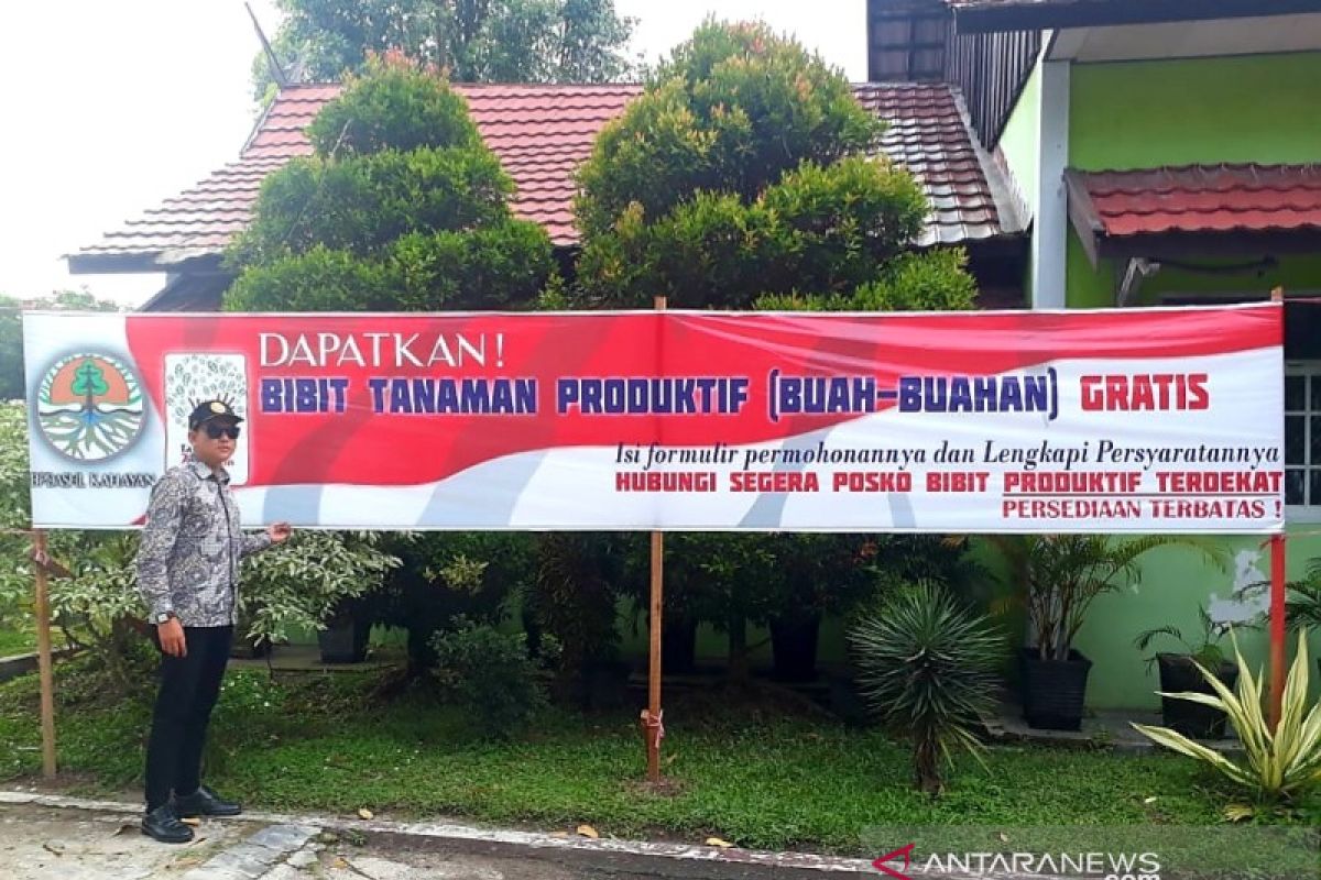 Pemkab Kobar bagikan 5 ribu bibit tanaman produktif kepada masyarakat