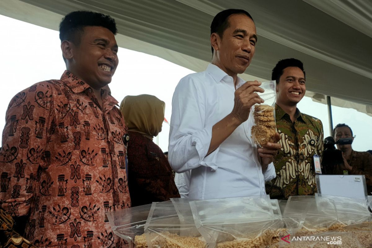 Presiden Jokowi arahkan peserta Mekaar PNM agar manfaatkan modal