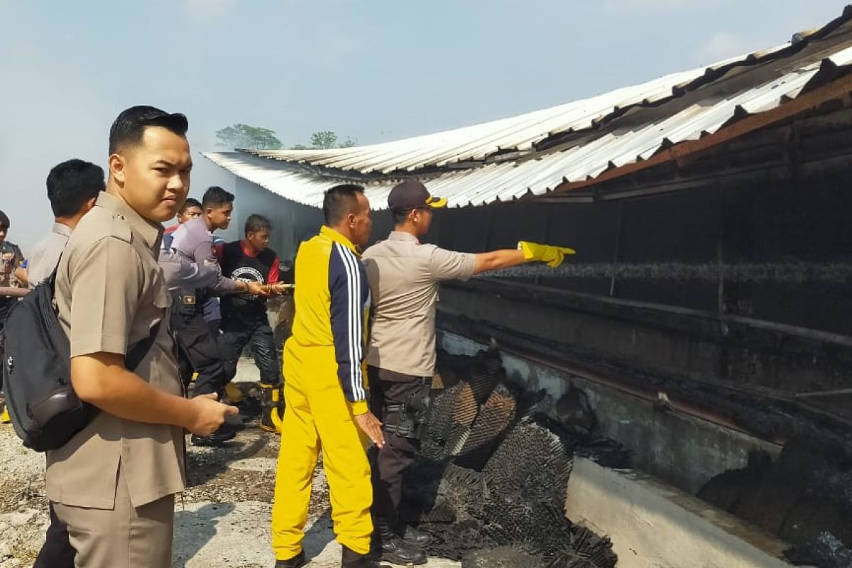 Kebakaran gudang ayam di Pasuruan diduga karena korsleting listrik