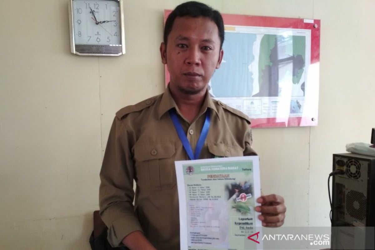 Ini langkah BKSDA antisipasi pembalakan liar di Cagar Alam Maninjau Agam