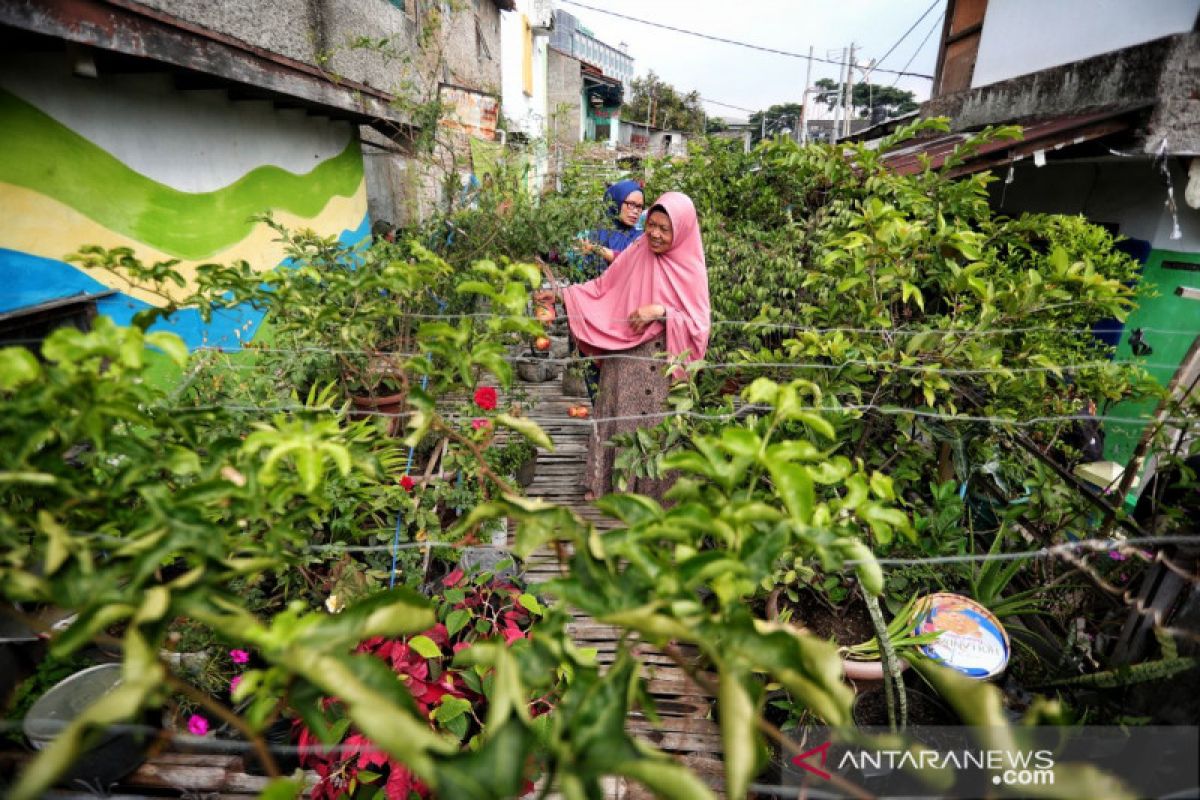 Pemkot Bandung dorong pertanian urban demi kendalikan inflasi