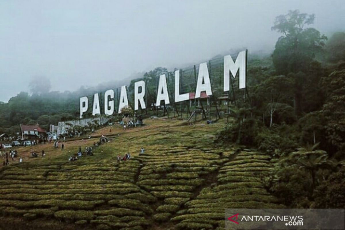 Wisata ikon nama "Pagaralam" masuk wilayah jelajah  harimau