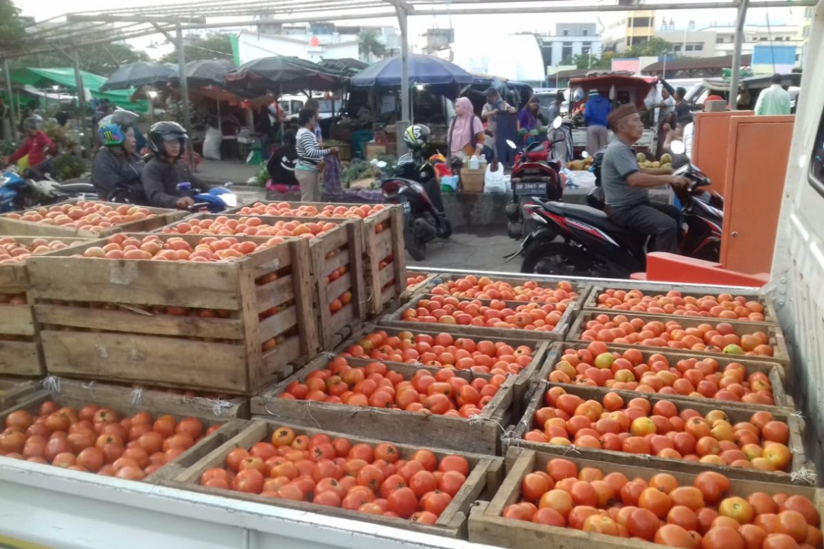 TPID Sulawesi Utara jual tomat Rp8.000/kg