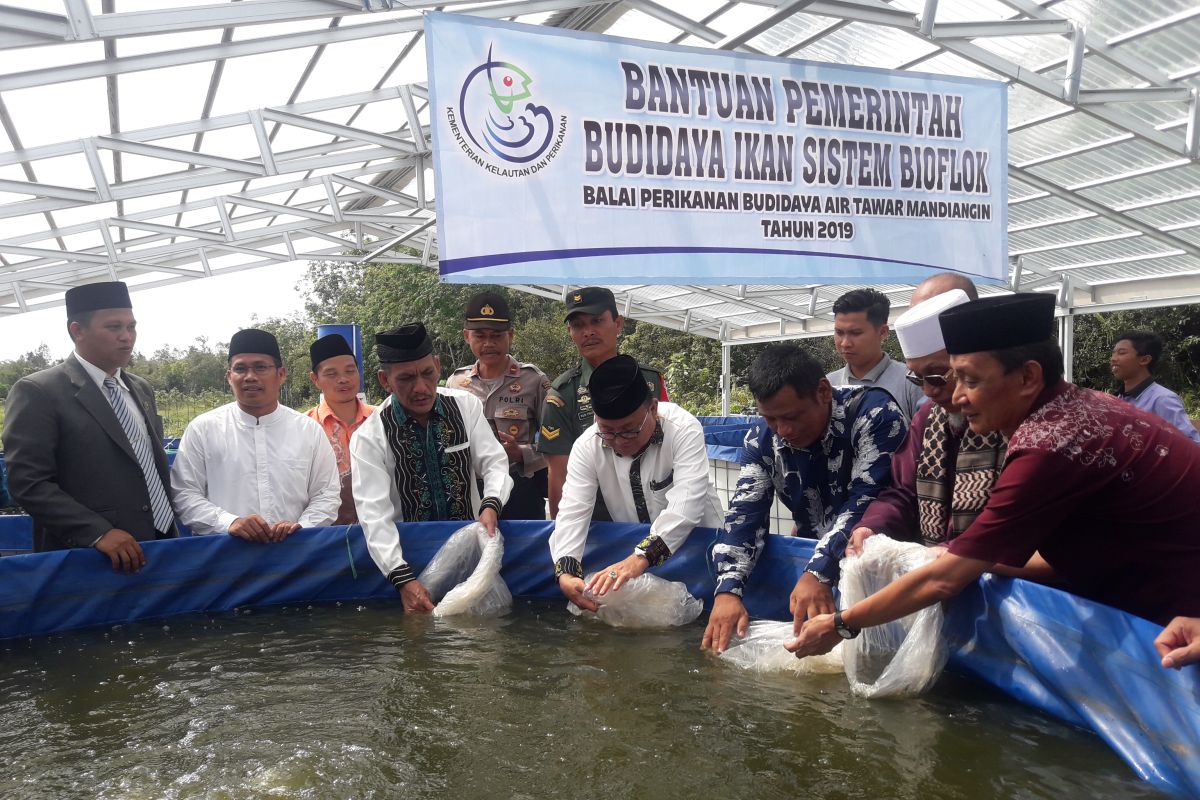 Ponpes Desa Kambitin kelola budi daya ikan bioflok