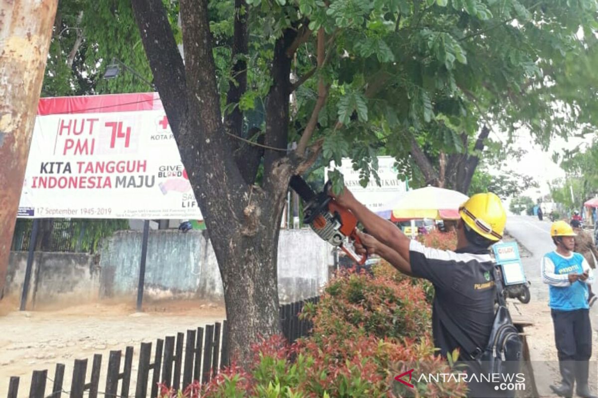 PLN bersihkan jalur jaringan  di Palembang seiring datangnya hujan