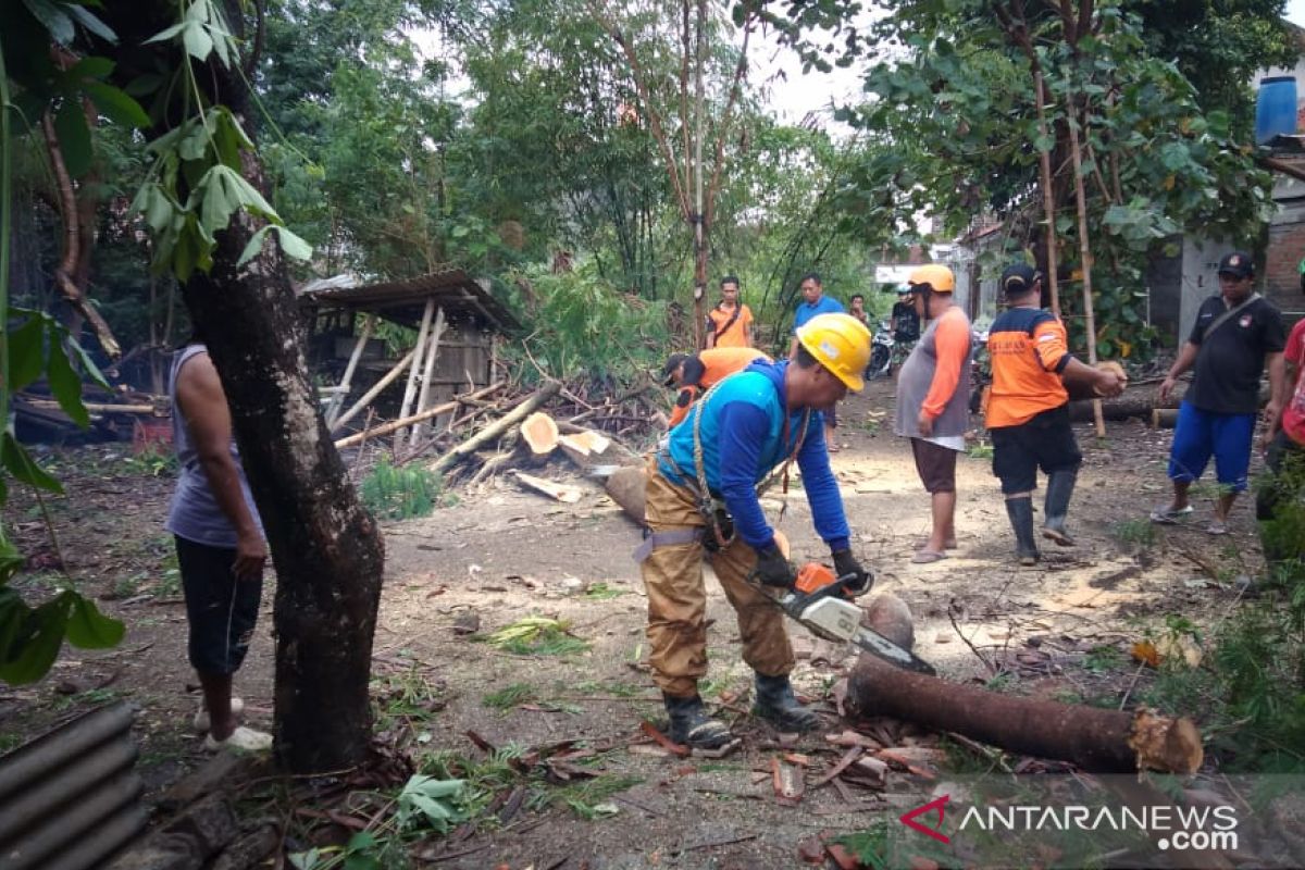 Angin kencang terjang sejumlah titik di Sleman akibatkan tiga luka