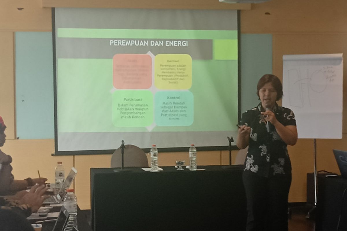 Pemerintah diminta gencarkan informasi energi baru terbarukan