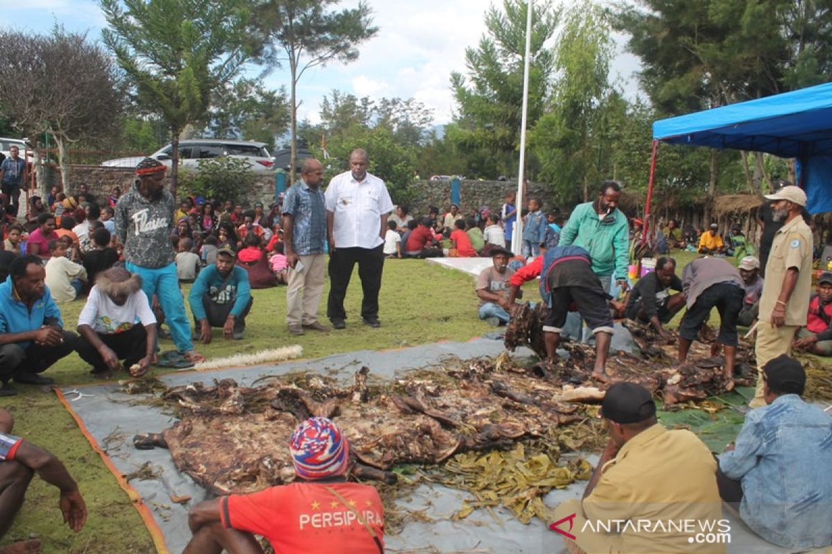 Pemkab Jayawijaya dukung penerapan denda adat juga kepada perantau