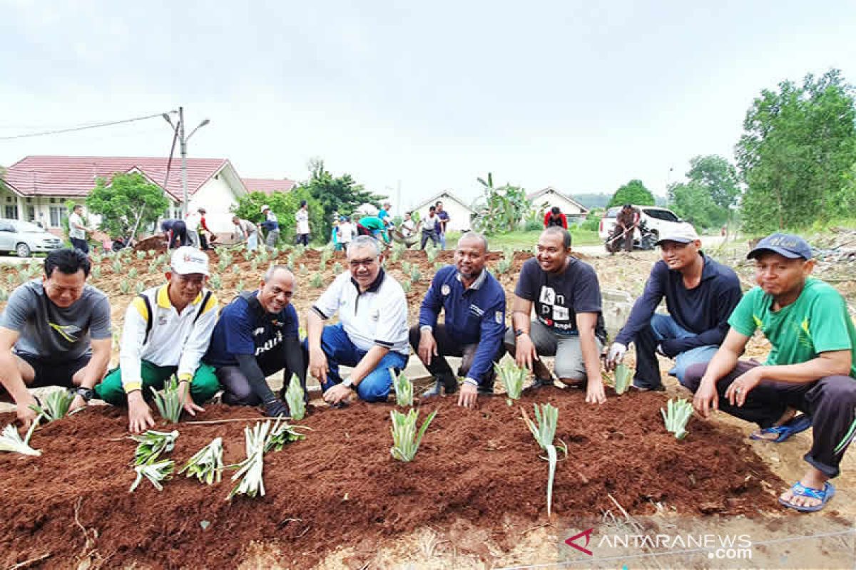 Karyawan dan Warga Riau Kompleks kelola lahan tidur jadi KRPL