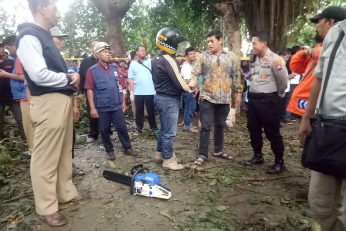 Seorang mahasiswa tewas tertimpa pohon saat angin kencang menerjang Kediri