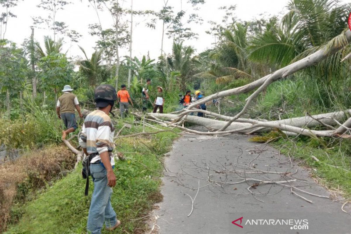 Puluhan rumah rusak diterjang angin kencang di Gunung Kidul