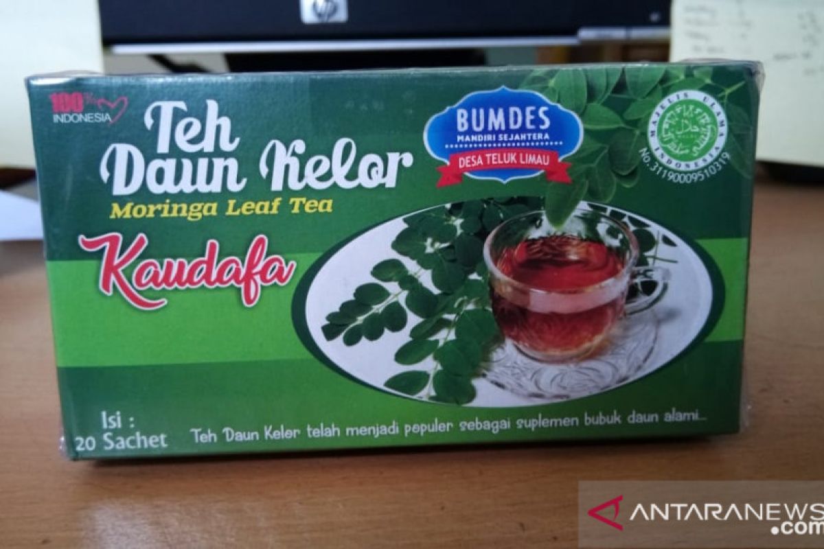 UKM Bangka Barat berhasil kembangkan teh daun kelor