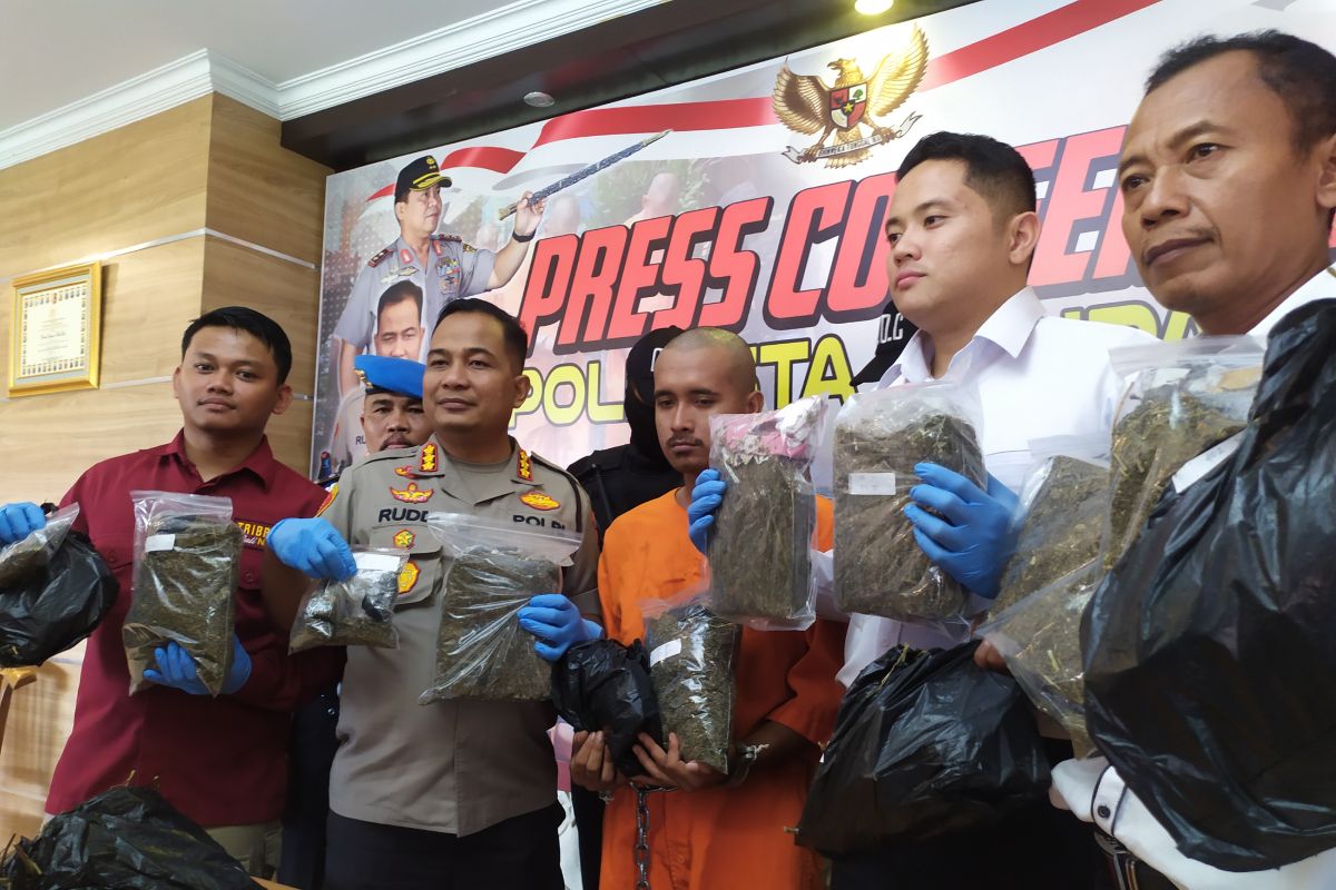 Polresta Denpasar tangkap kurir bawa ganja 7,6 kilogram