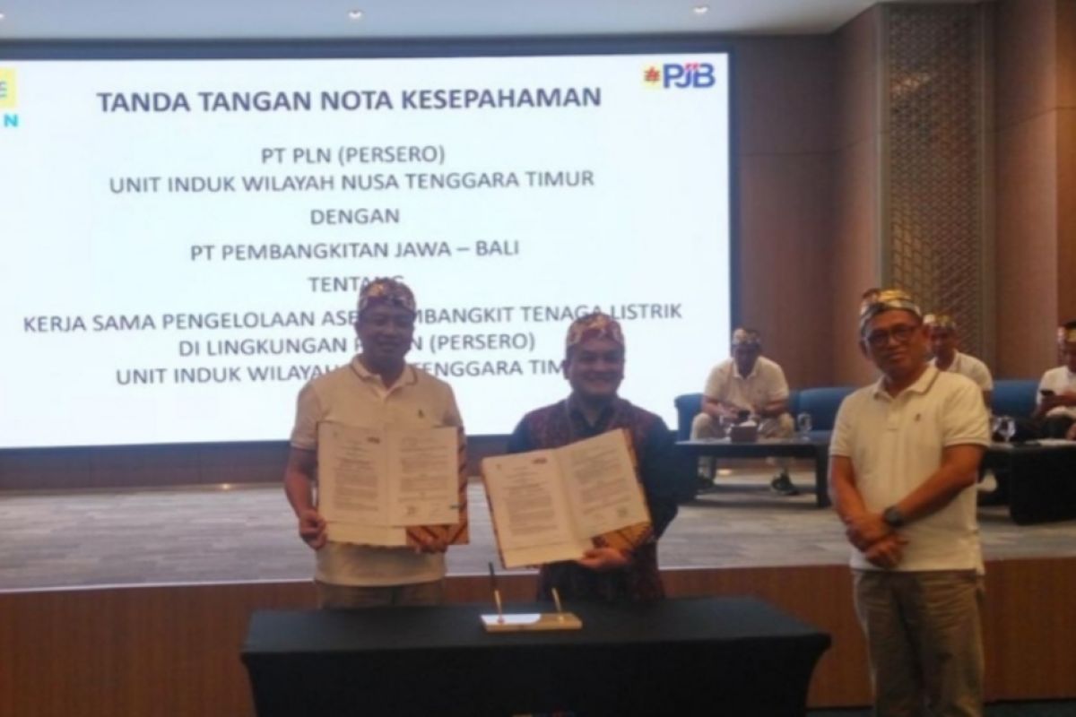 Bagaimana PLN menggenjot peningkatan rasio elektrifikasi di NTT?