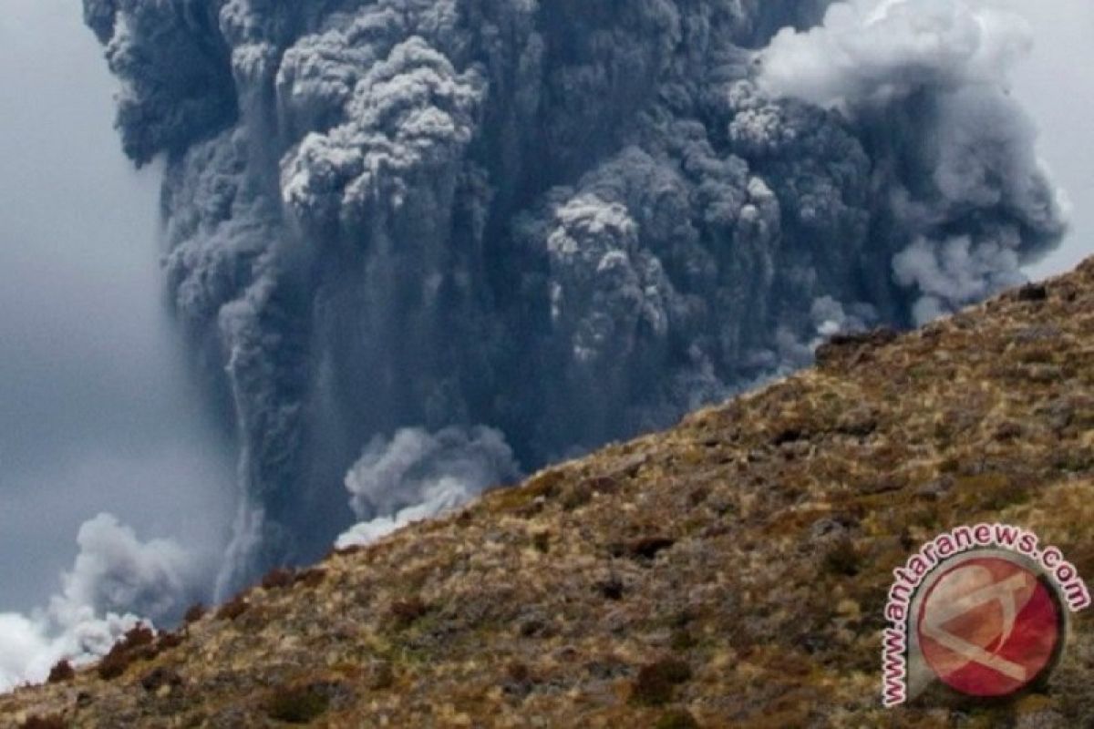 Gunung White Island di Selandia Baru meletus, beberapa orang alami cedera