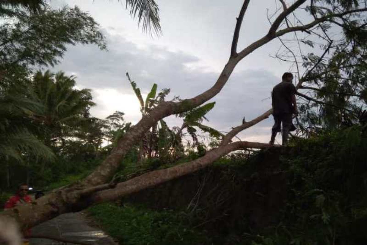 Kabupaten Magelang diterjang angin kencang