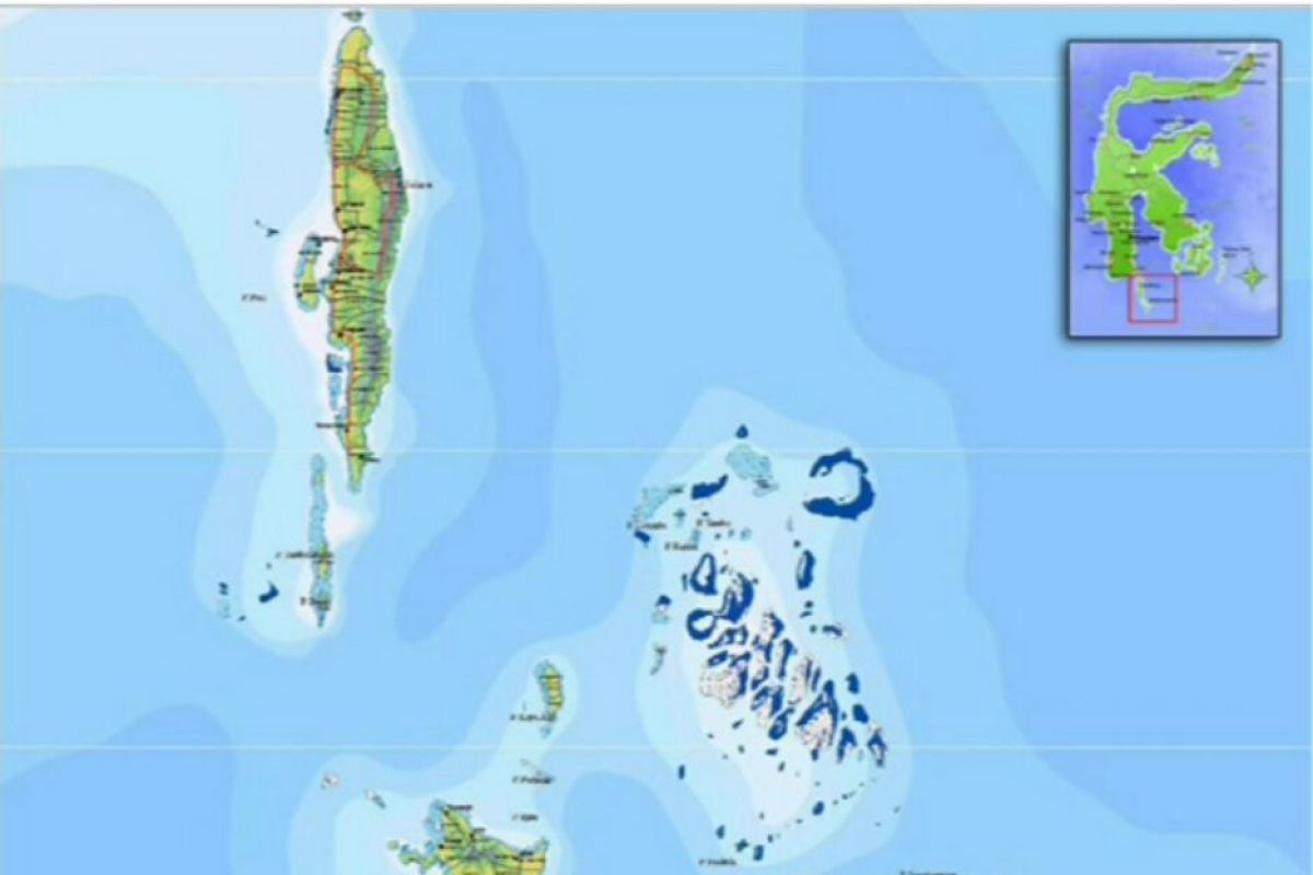 BMKG bantah kemunculan oarfish di Selayar pertanda gempa dan tsunami