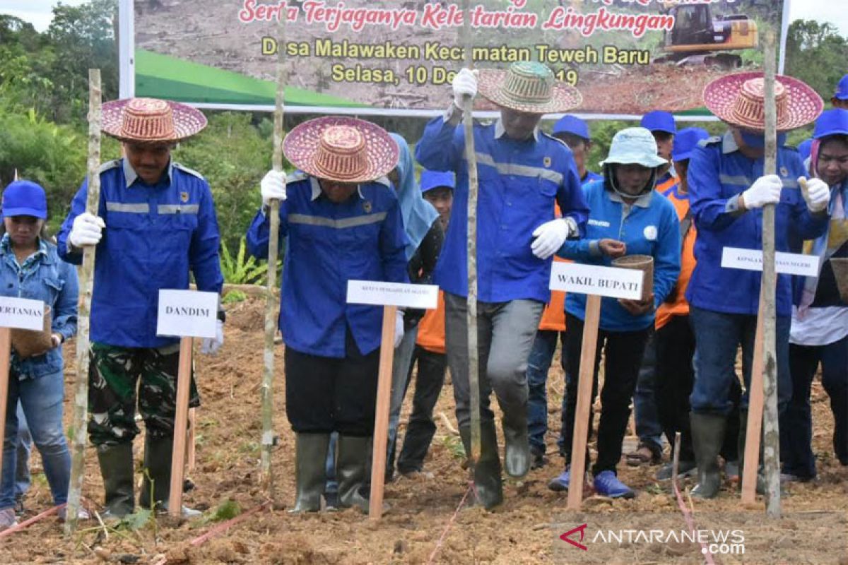 Barito Utara praktikan pembukaan lahan tanpa bakar