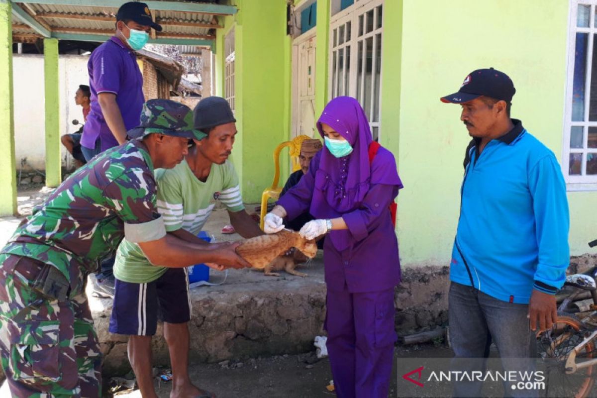 Kasus gigitan anjing di Gorontalo Utara positif rabies