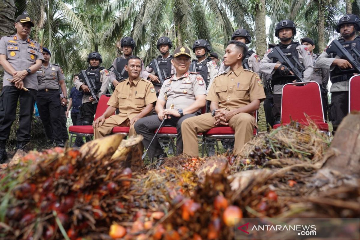 Harga sawit meroket, Polda Riau bentuk tim antisipasi pencurian