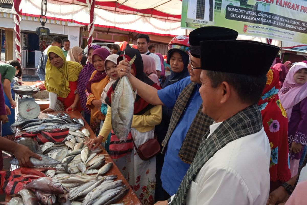 Pasokan melimpah harga ikan nila di Agam turun