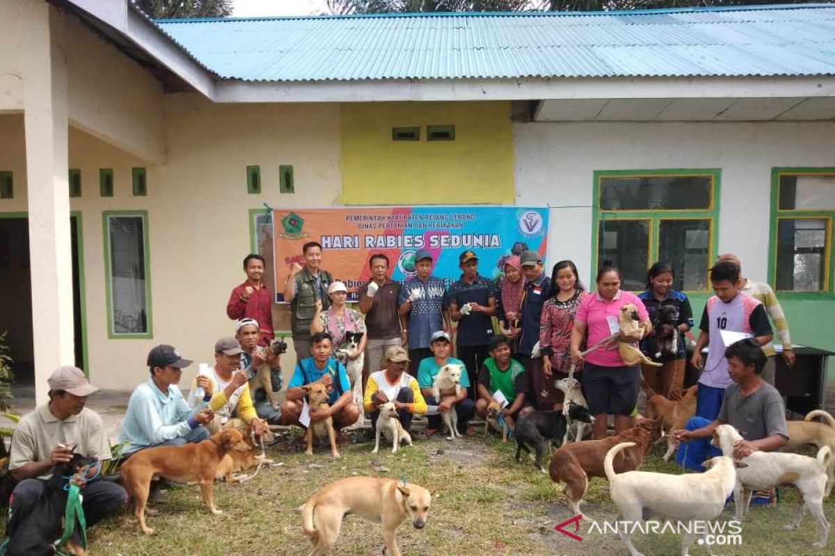 Vaksinasi HPR 2019 di Rejang Lebong terealisasi 13.000 ekor