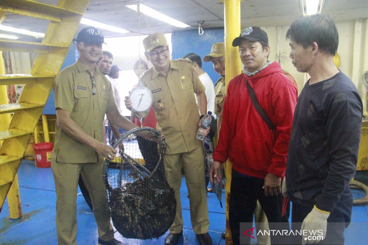 Ekspor ikan kerapu dari Belitung ke Hong Kong capai 90 ton