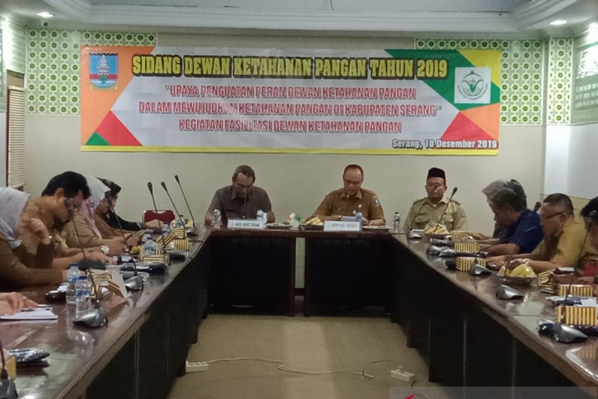 Wakil Bupati Serang minta penguatan DKP menjaga ketahanan pangan