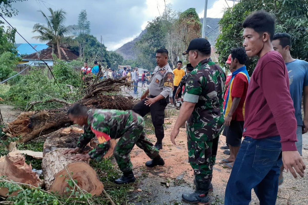 Angin puting beliung merusak atap dan tumbangkan pohon di Bima