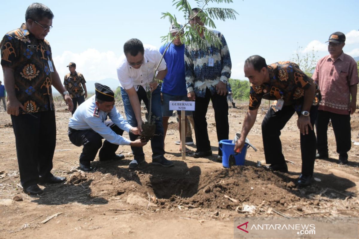 Gubernur canangkan Gerakan NTB Hijau di Sumbawa