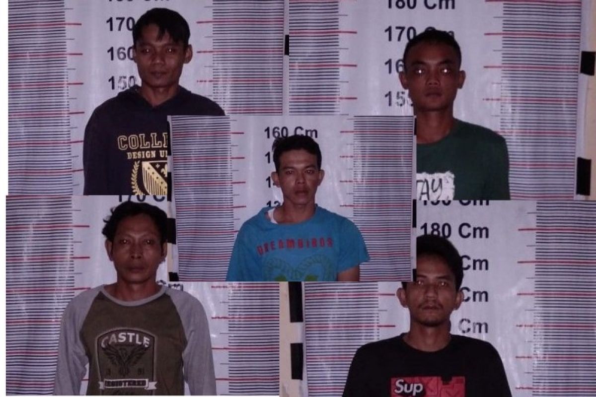 Lima pemilik ganja ditangkap Polisi Pangkalan Brandan Langkat