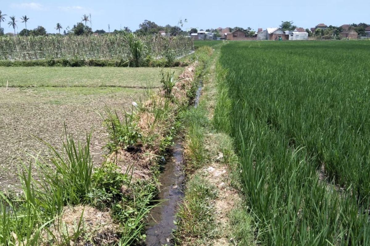 Alih fungsi lahan di Mataram capai 48 hektare