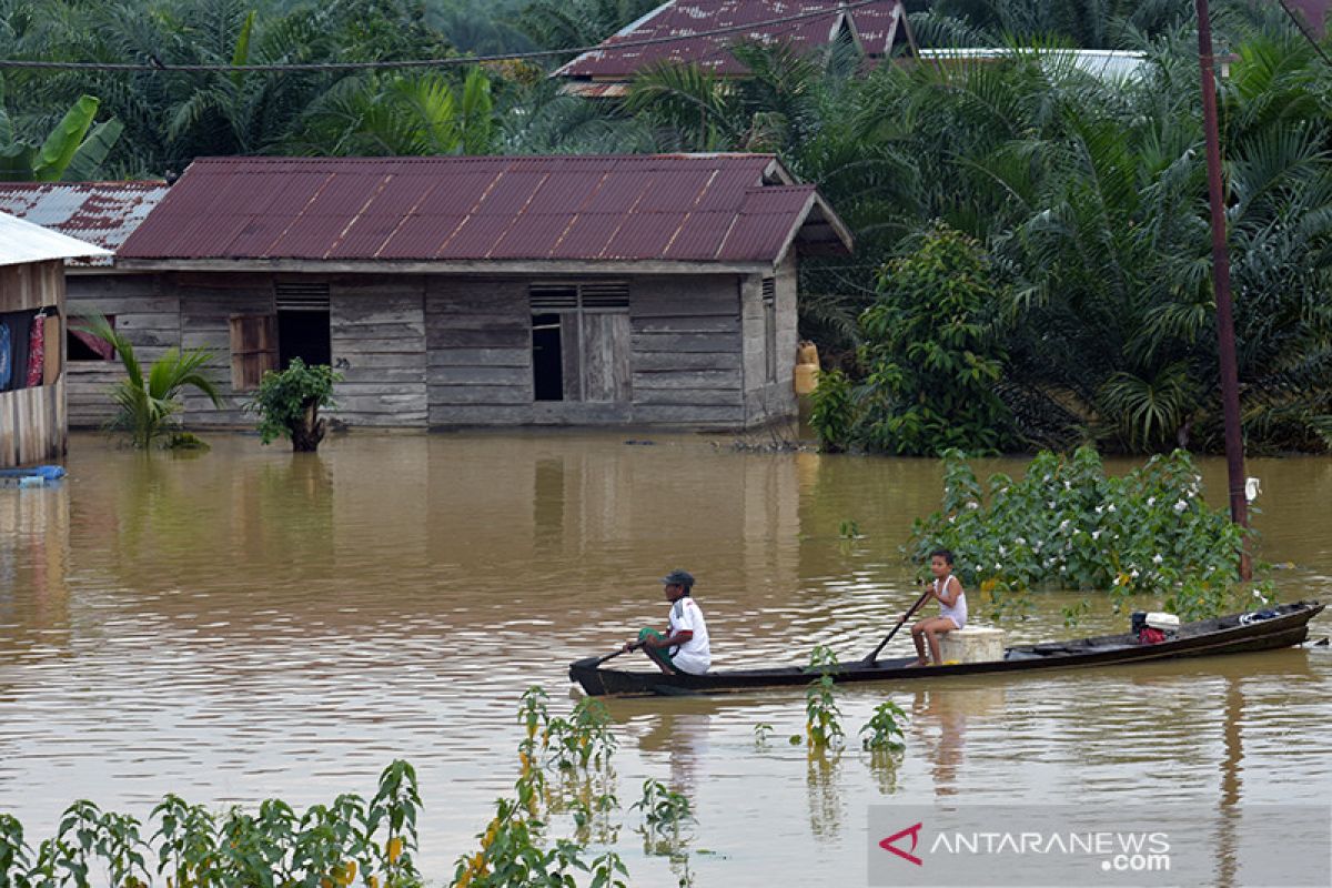 VIDEO - Ribuan Rumah Tergenang Banjir di Riau