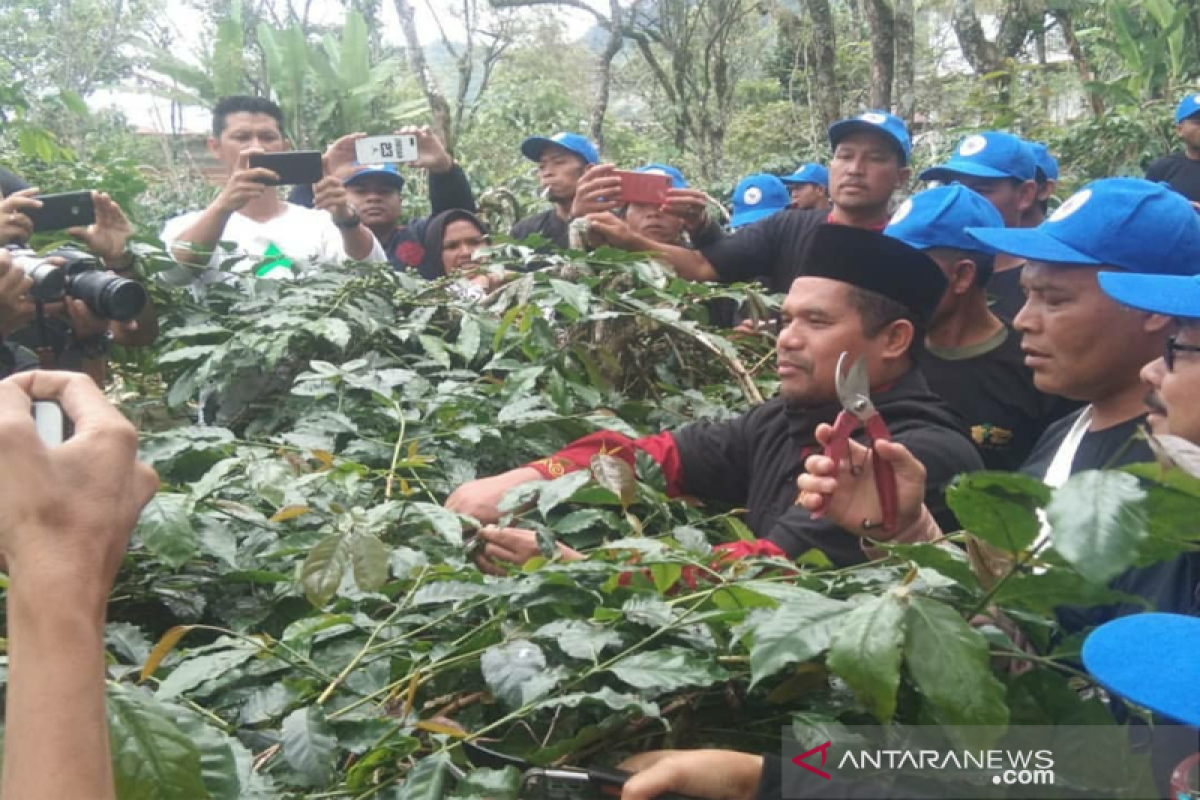 Bener Meriah terima penghargaan Sertifikasi Organik Kopi Arabika