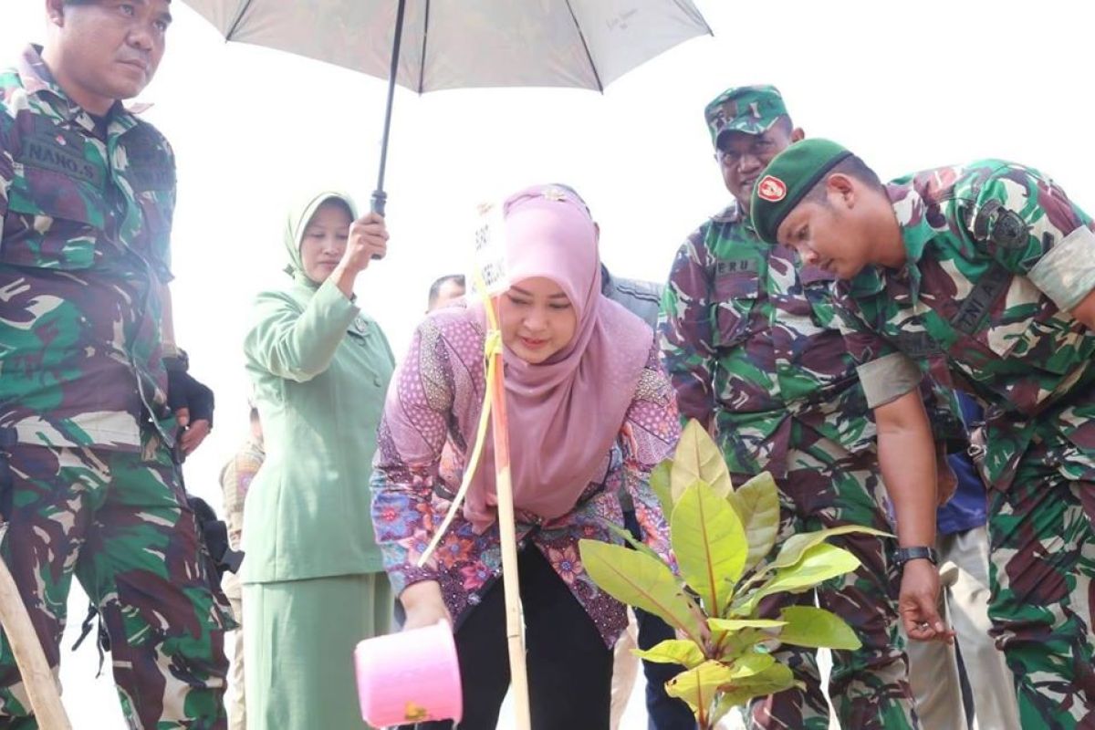 Bupati Pandeglang apresiasi TNI tanam 5.000 bibit pohon ketapang di Desa Cigondang