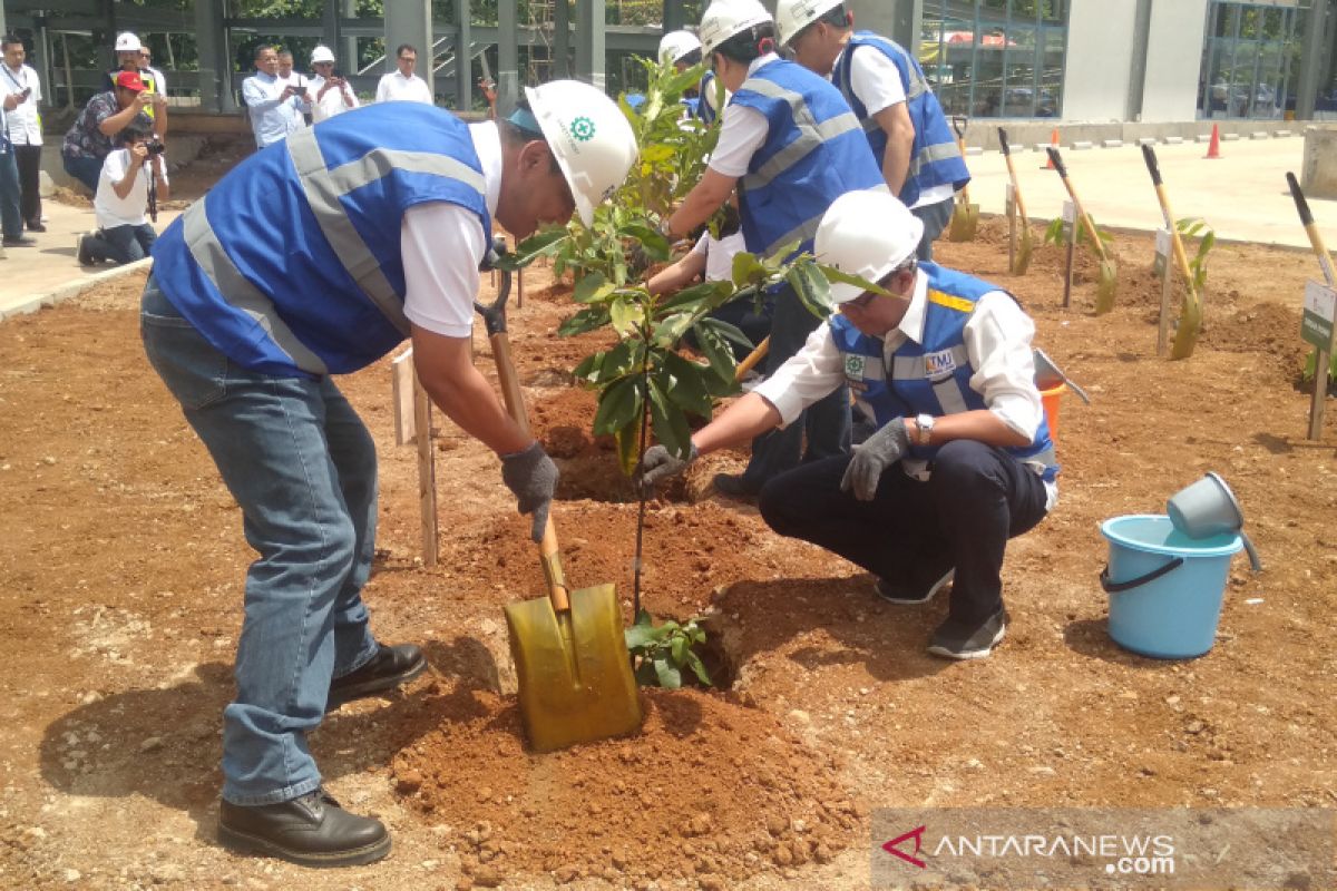 Astra Property akan perluas konservasi buah langka di Jateng