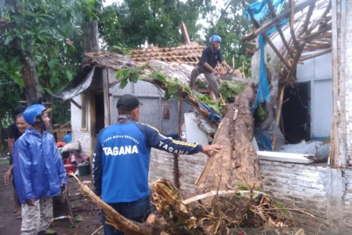 Angin kencang di Jember sebabkan pohon menimpa rumah dan mobil