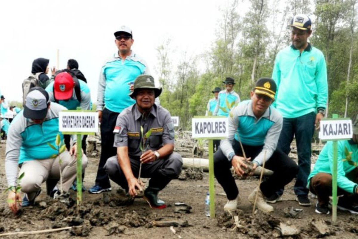 Seruyan tanam mangrove di kawasan pesisir