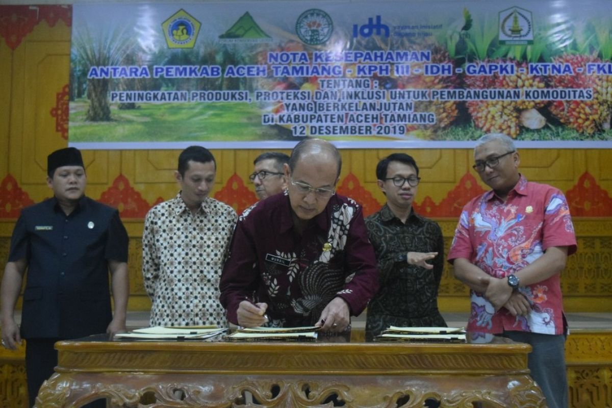 Aceh Tamiang dorong produktivitas sawit berkelanjutan